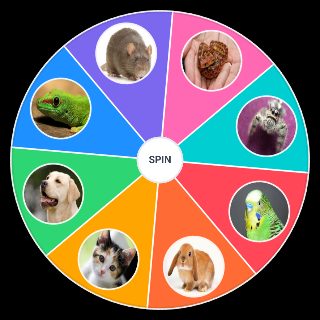 Pets Random Generator