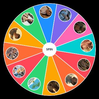 Spin the Wheel: Outer Banks Characters