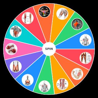 Muscle groups Random Picker