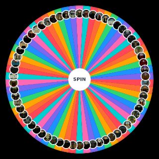 Spin the Wheel: Star Wars: Heroes Vs. Villains Characters