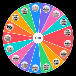Random Taylor Swift Evermore Wheel