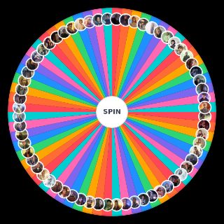 Spin the Wheel: Doctor Who: Friends & Companions