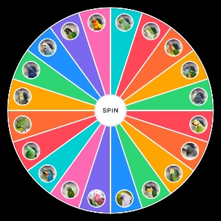 Parrot Species Wheel