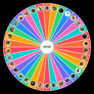 Bee Species Wheel