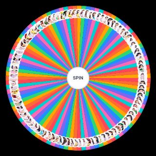 Spin the Wheel: Girls Planet 999 Most visual Contestants