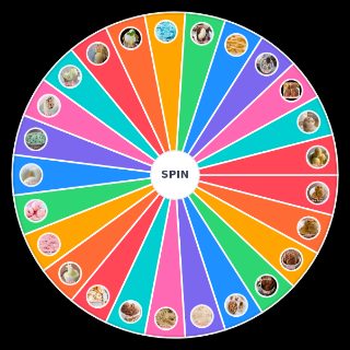 Spin the Wheel: Sabores de heladito