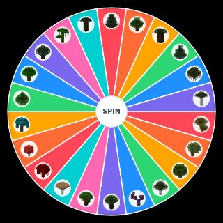 Spin the Wheel: Best Tree