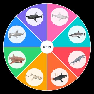 Random SharkBite all Sharks Wheel