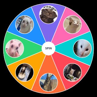 Pick a Random goofy ahh cats