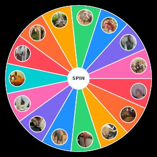 animal balls Random Generator