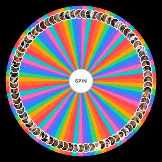 „Ranczo” – Bohaterowie Wheel