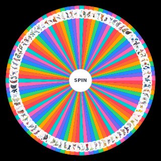 Random Mega Evolutions Wheel