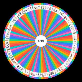 Run&Bun Early Encounter Brawly Split Wheel