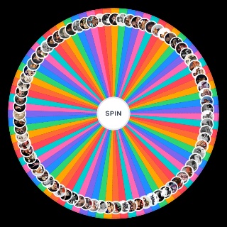 Spin the Wheel: all boxing heavyweight champions