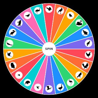 Pick a Random Bird