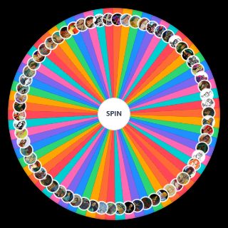 Spin the Wheel: Hokuto No Ken Characters