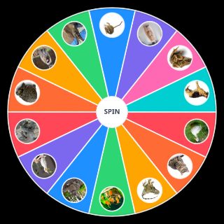 Domestic Animals Random Picker