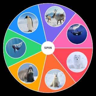 Polar Animals Random Generator