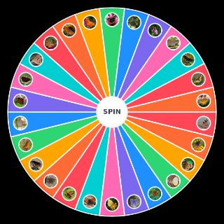 Spin the Wheel: Pennsylvanian Butterflies