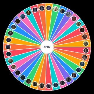 Random Elden Ring: Shadow of the Erdtree (All Bosses / Enemies) Wheel