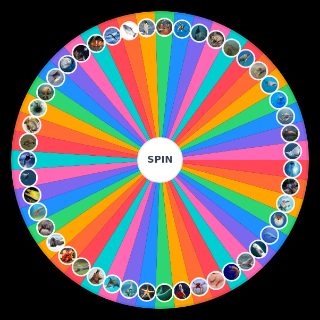 Spin the Wheel: ANIMAIS MARINHOS MAIS FODAS Pedro Certezas