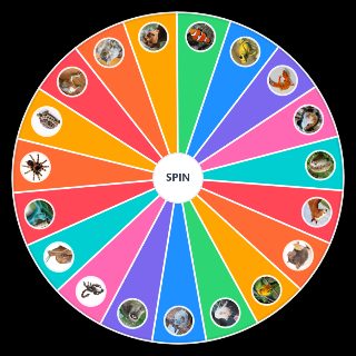 Random Household Pets Wheel