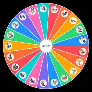 Starter Birds Political Compass Wheel