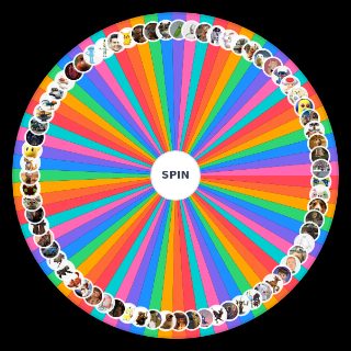 Dibby Wheel