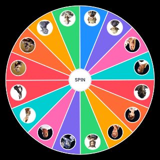 Final Fantasy XIV (FFXIV) Races Wheel