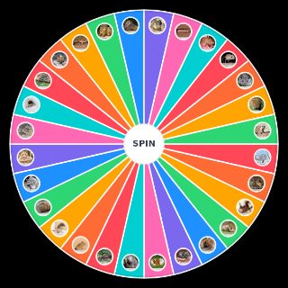 The ultimate rodent Wheel