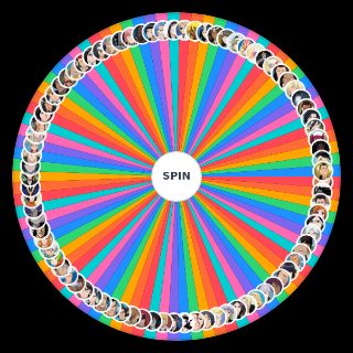 Spin the Wheel: Bleach Pre TYBW