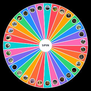 Mapas del TTT Wheel