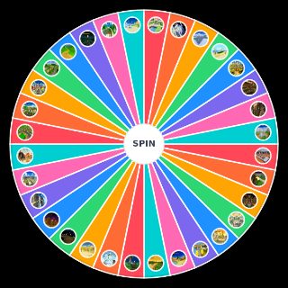 Spin the Wheel: Mario Kart Wii Tracks