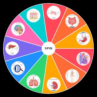 Choose a Random Human Organs