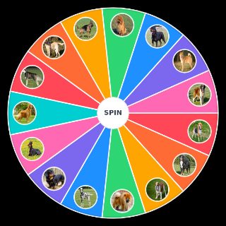 Random RAZAS DE PERROS Picker