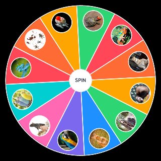 Animaux de compagnie Random Picker