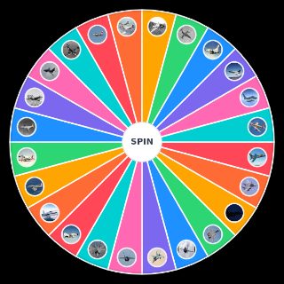 Spin the Wheel: USA Jets
