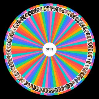 Spin the Wheel: non male celebrities