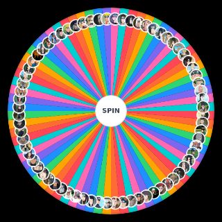 Random Naruto 1 season Wheel