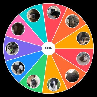 Random The Guy’s Dogs Wheel