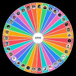 Sports Random Picker