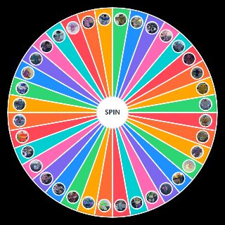 YBA Random Picker
