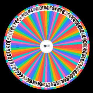 Spin the Wheel: Grey's Anatomy Characters Seasons 1 8