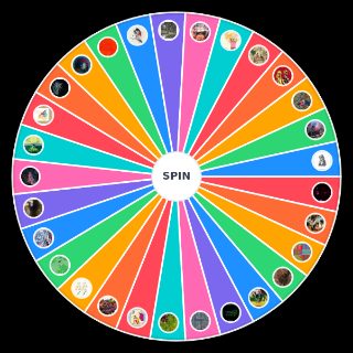 Pick a Random Animal Collective Related Albums