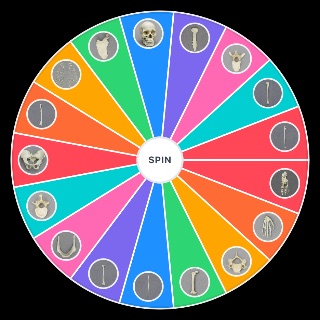 Human Bones Wheel