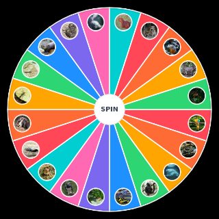 Random Amazon Wildlife Wheel