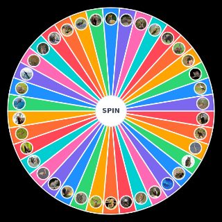 Spin the Wheel: Homem Nu vs Fauna Portuguesa (Num Ringue)