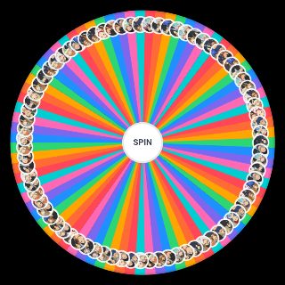 Random A bunch of haikyuu ships Wheel