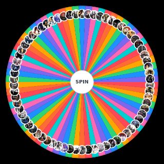 Spin the Wheel: VISUAL KEI/JROCK
