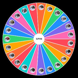 Rainbow 6 Seige Elite Skins Random Picker